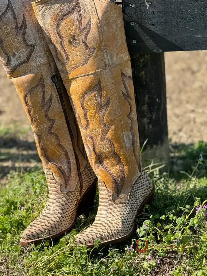 Dan Post Python Aretha Honey Snip Toe