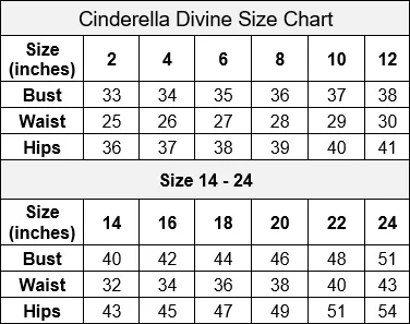 Long Strapless Chiffon Dress by Cinderella Divine C7460